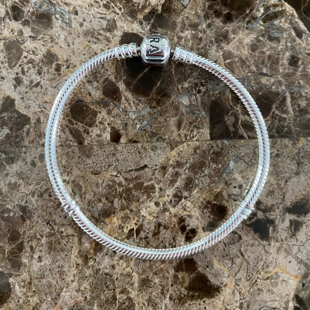 Pandora Charm Bracelet